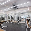 바디가드 짐 이미지