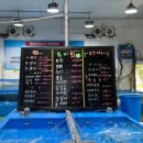 쌍용수산 티스토리