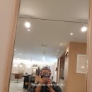 내 단골 창원 라뮤즈헤어 내돈내산 리뷰