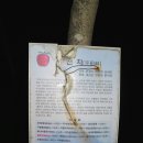 둔전초교 삼거리(백두극동 앞) | 백두대간 제14차 사다리재에서 조령제3관문까지 산행후기