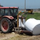 새만금 청보리농장 이미지