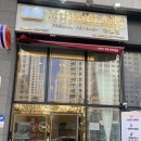 멍블랑 강아지분양 시흥배곧점 이미지