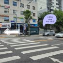 독서당공원 | 5월 서울축제 추천 :: 대현산 장미원 장미축제 정보 시간 주차 다녀온 후기