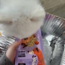 콩이네 방앗간 이미지