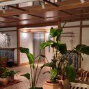 DE051 | 포르투갈 리스본호텔추천 로크드산타조아나 Locke de Santa Joana 로크룸 킹베드 후기 장단점