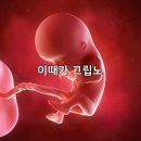 나달교육 | 20대여자의 먹구 피크닉하구 꽃구경하구 사랑하라