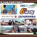 락한옥펜션 | 고흥 거금락 한옥펜션캠핑장 방문기 🌿