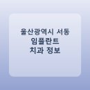 로원치과의원 | 울산광역시 서동 임플란트 병원 찾는다면, 가격표와 후기 먼저 보기