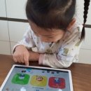 신기한나라어린이집 이미지