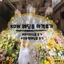 마이더스 | KDW 웨딩홀 하객으로 다녀온 후기 / 뷔페 예식장 마이더스홀 예식분위기