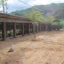 산새울 이미지