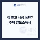 세움세무회계 이미지