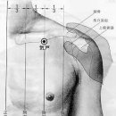 기호 (氣戶 -족양명위경 - 44) 이미지