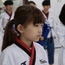 THE 한빛 태권도장 네이버블로그