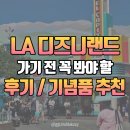 X랜드 | 미국 LA여행 / LA디즈니랜드(티어2, 라이트닝패스X) 후기 / 기념품 추천