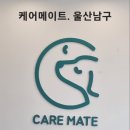 하이메이트