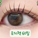 보떼달동