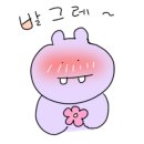 보듬 반려견미용실 이미지