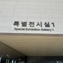 꿈꾸는 댕 네이버블로그