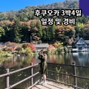 2023-01-0018 | 일본 후쿠오카 겨울 가족여행 3박4일 경비 및 코스 일정 공유