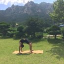 월출산고인돌펜션 이미지