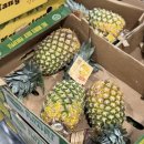 삼육슈퍼 | 코스트코 광명점 4월 셋째 주 낙곱새, 두바이 스프레드 등