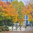 평촌공원 관리사무소 | 경기 단풍 명소 가족 나들이 가기 좋은 안양 평촌공원