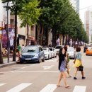 가로수길 이미지