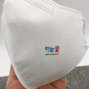 반려동물 장례식장 하늘愛 로고인쇄마스크