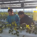 현이농장 이미지