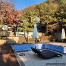 숲속에일출좋은펜션 이미지