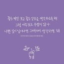 볕뉘