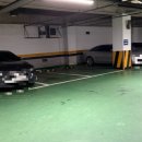 장미로48번길 이미지