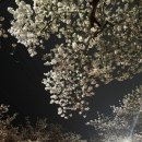 도원고등학교앞 이미지