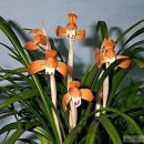 수천농장 이미지