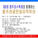 충주호수축제 이미지