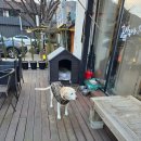 나만의 카페 메뉴 | [맛집/공주] 공주 카페 데이트, 사주풀이와 나만의 원석팔찌! 솜씨공방카페 방문후기