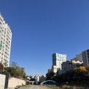 유성천 | 📌 [대전해장국 맛집] 유성천 러닝 후 먹기 딱 좋은 대전감자탕 대감댁 왕뼈 해장국 유성점 솔직 방문기