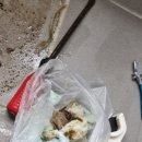 수도꼭지교체 오케이시스템과 함께한 변기 막힘 해결 후기