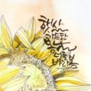 너를바라봄