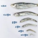 어부의식탁