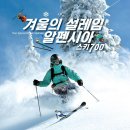 알펜시아리조트알펜시아스키장 티스토리