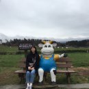 은희네목장 이미지