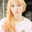 참신해 이미지