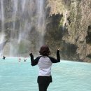 J-010 | 세부 여행 1일차 | 고래상어 투어 취소된 사람이 바로 나에요