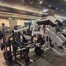 익스홀릭 가넷 이미지