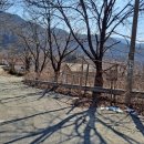 상천리-4 이미지