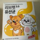 리브스토어 | 고양이 설사 개선을 위한 선택, 리브펫 유산균 프로바이오틱스 스틱 후기