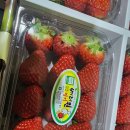 짭짤한 대저토마토 / 고당도 딸기 판매합니다. 이미지
