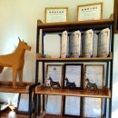 노블라인 도베르만 이미지